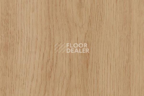 Виниловая плитка ПВХ FORBO Allura Decibel 8WSM13-3WSM13 golden smooth oak фото 1 | FLOORDEALER